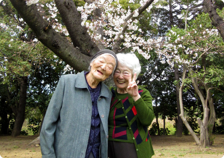 お花見ドライブ