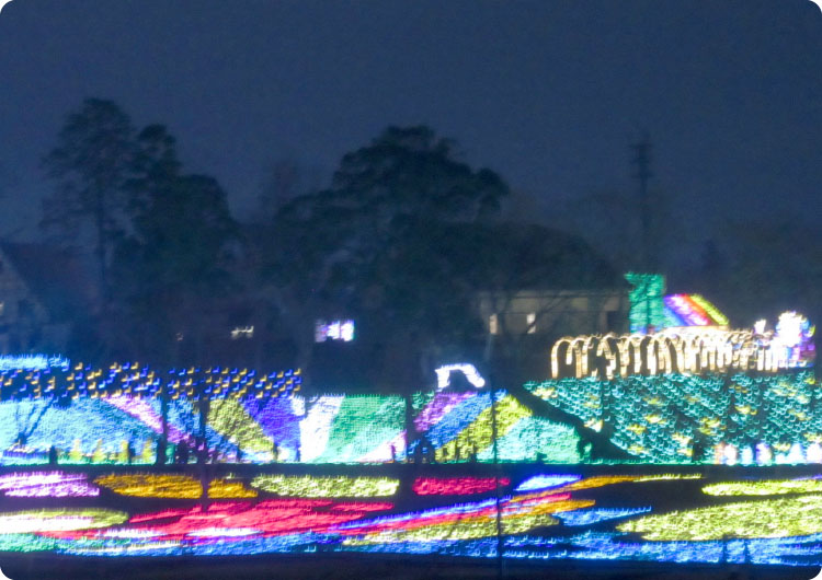 イルミネーション